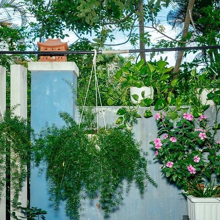 Green Bud Hostel And Homestay Hoi An Exterior foto